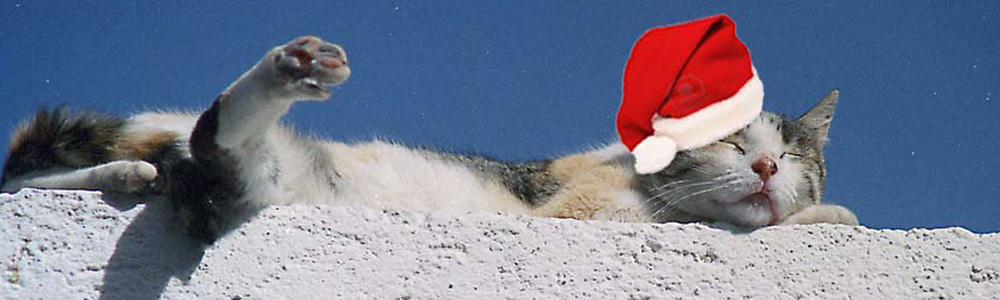 Christmas Cat by Geoff Vaughan